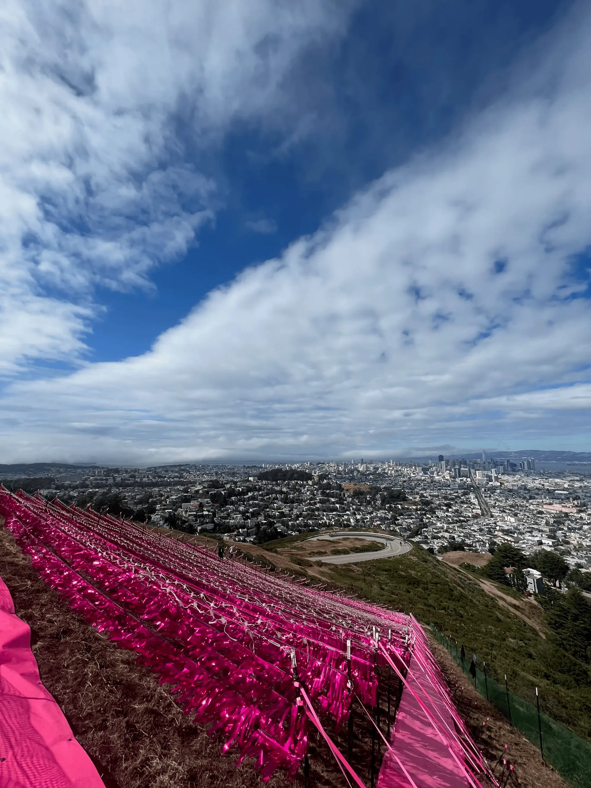 Illuminating the Pink Triangle